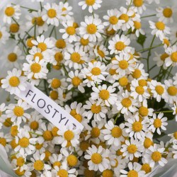 romashka kupit buket 8